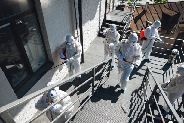 Forensic Mold Investigation in Sherrill, NY