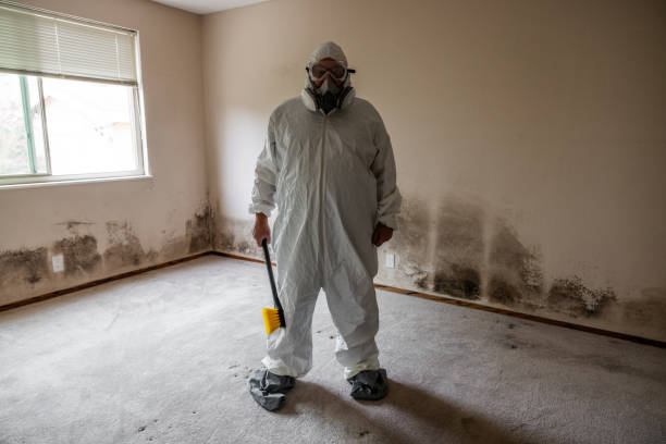 Best Mold Remediation for Rental Properties  in Sherrill, NY